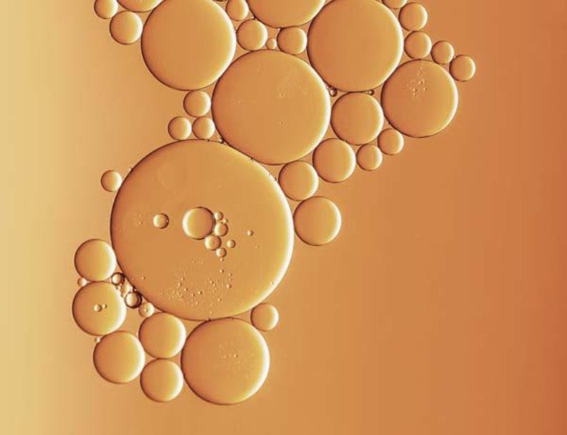 SkinThera Thera-CE Ferulic Serum – Vitamin C, E, Ferulic Acid Daily Skincare immagine 5