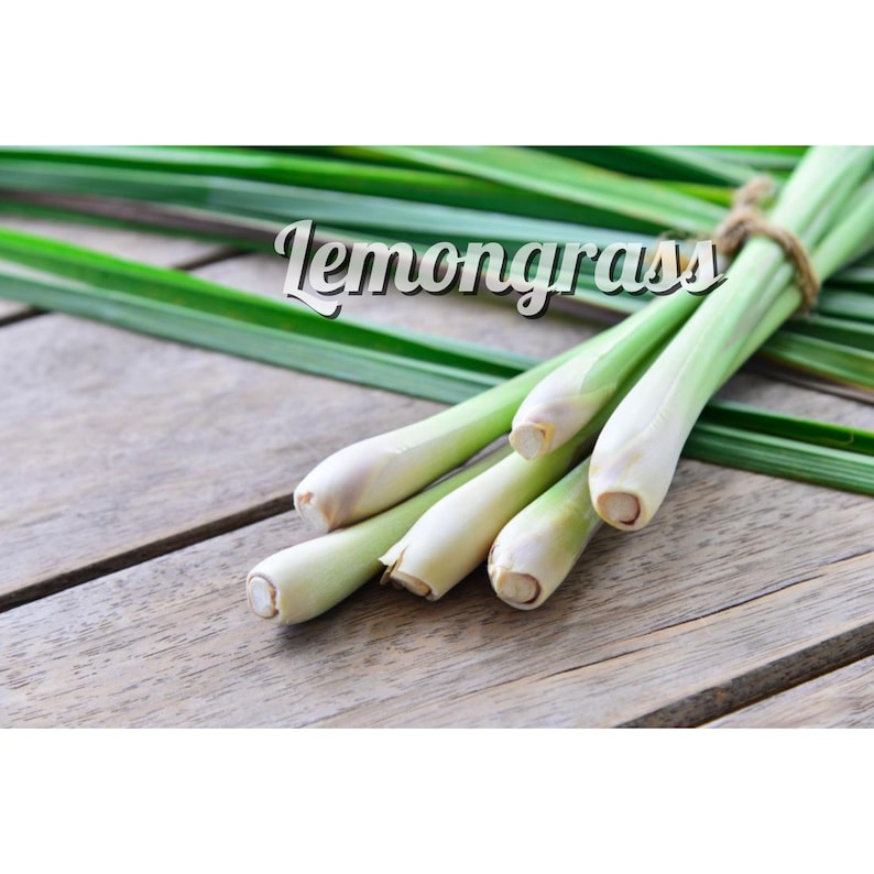 Puede incluir: Un manojo de tallos de hierba de lim&oacute;n frescos con hojas verdes sobre una superficie de madera. El texto "Lemongrass" est&aacute; escrito en letras blancas sobre un fondo verde.