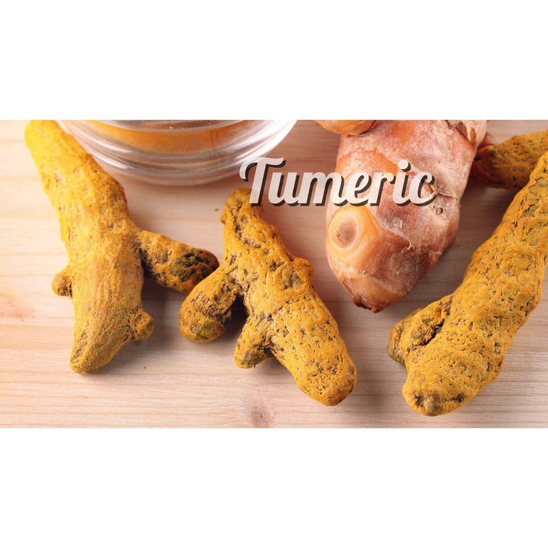 DRAGON'S BLOOD SERUM by Skinthera® Healing Serum, Dragon's Blood Resin