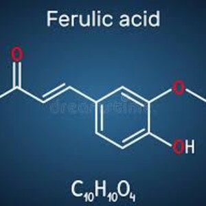 SkinThera Thera-CE Ferulic Serum – Vitamin C, E, Ferulic Acid Daily Skincare immagine 4