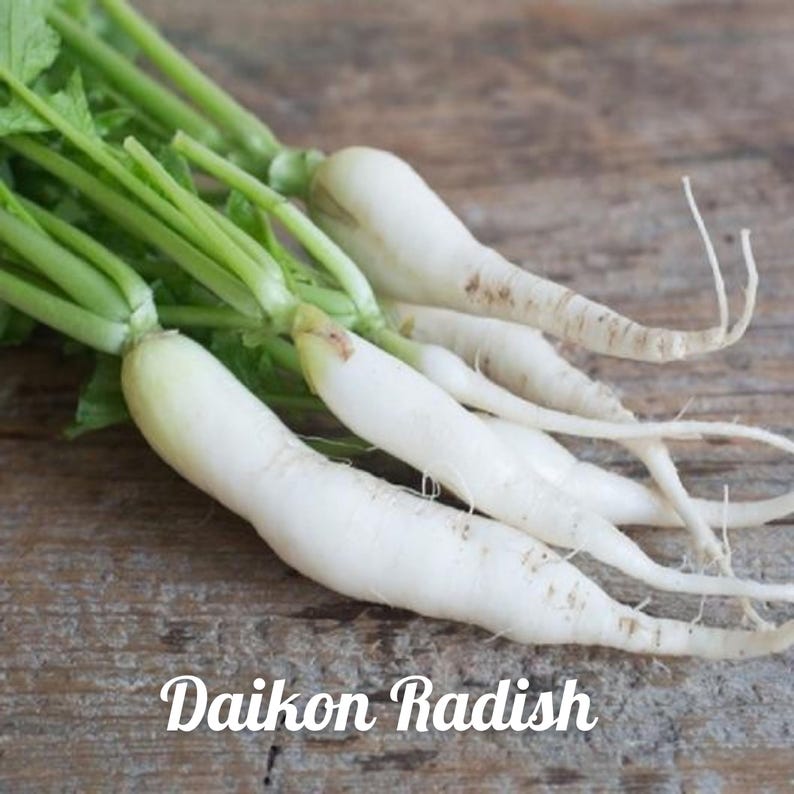 Puede incluir: Un manojo de r&aacute;banos daikon blancos con hojas verdes sobre una superficie de madera. R&aacute;bano daikon.