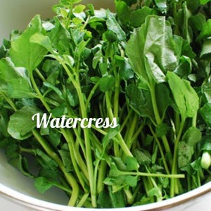 Puede incluir: Un bol de berros frescos y verdes. El berro es una verdura de hoja verde con un sabor picante.