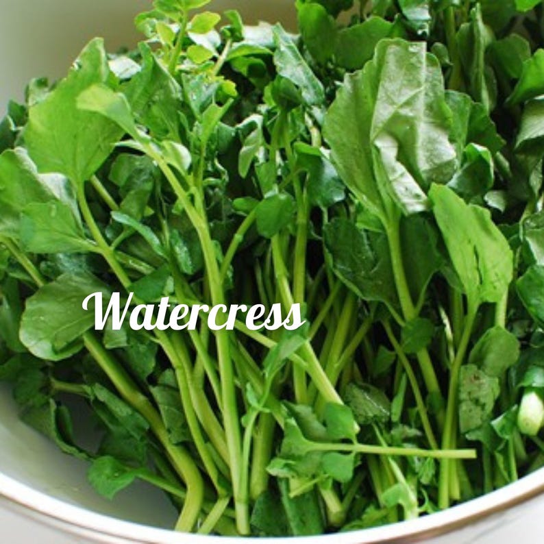 Puede incluir: Un bol de berros frescos y verdes. El berro es una verdura de hoja verde con un sabor picante.