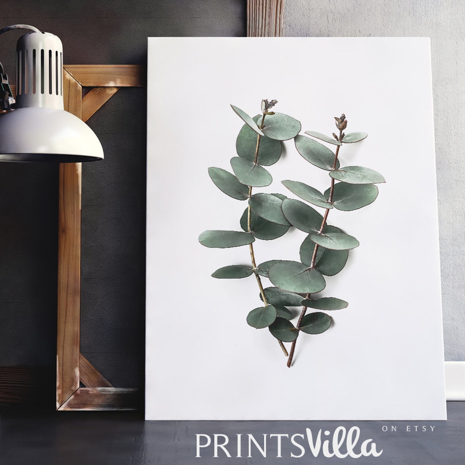 Eucalyptus Wall Art Botanical Print Minimalist Plant Etsy