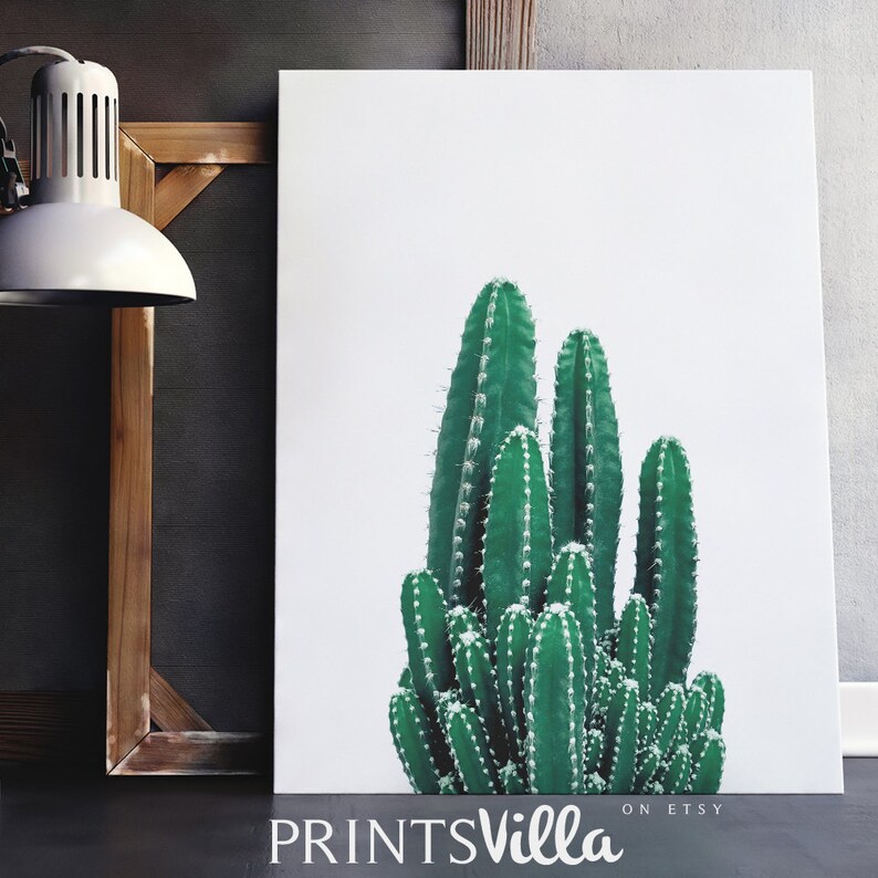 Cactus Art Cacti Art Print Minimalist Plant Wall Decor Etsy
