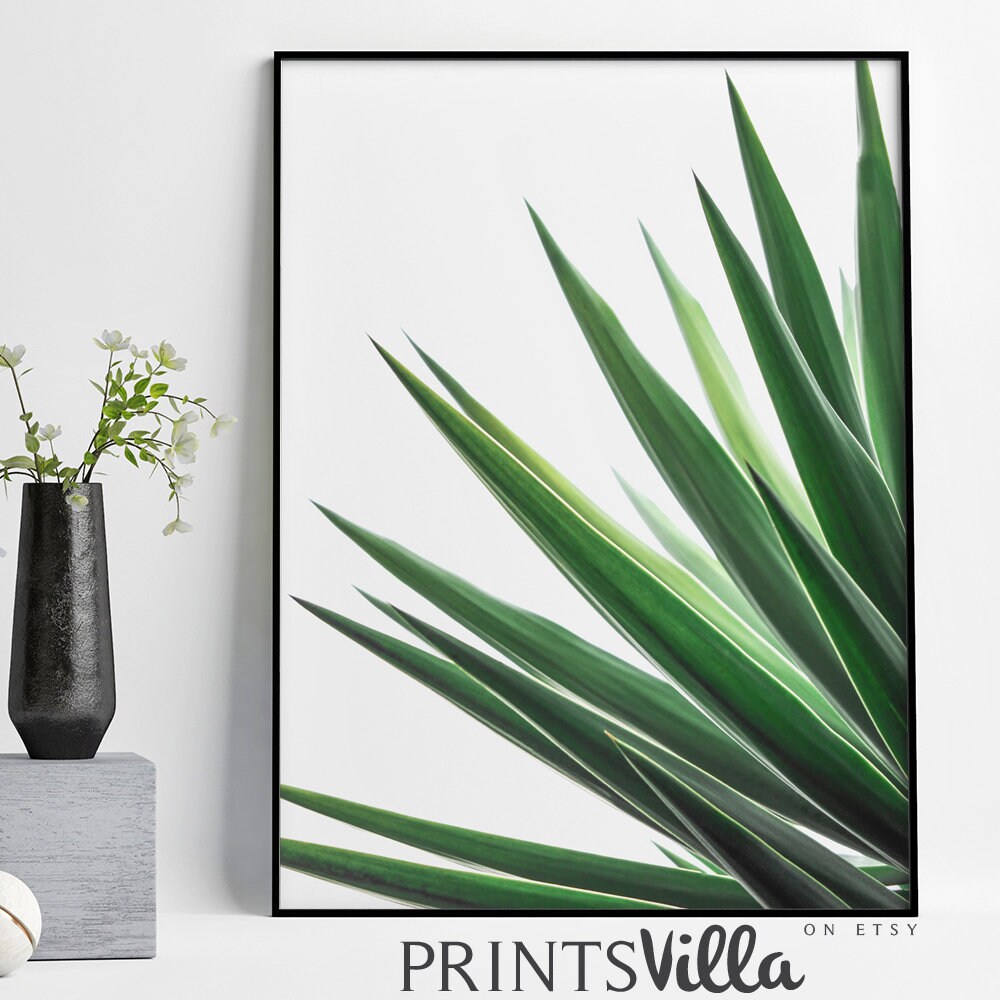 Tropical Leaf Print Plant Leaves Wall Art Leaf Wall Art Etsy