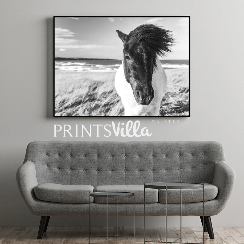 Horse Print Animal Photography Black and White Wild Horse Etsy