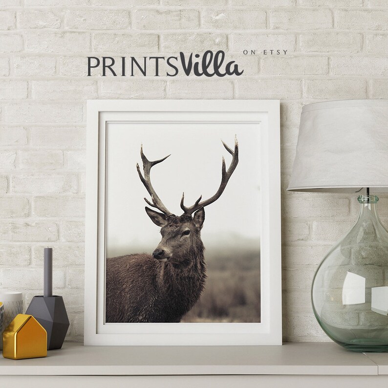 Deer Print Forest Animal Wall Art Stag Print Nature Etsy