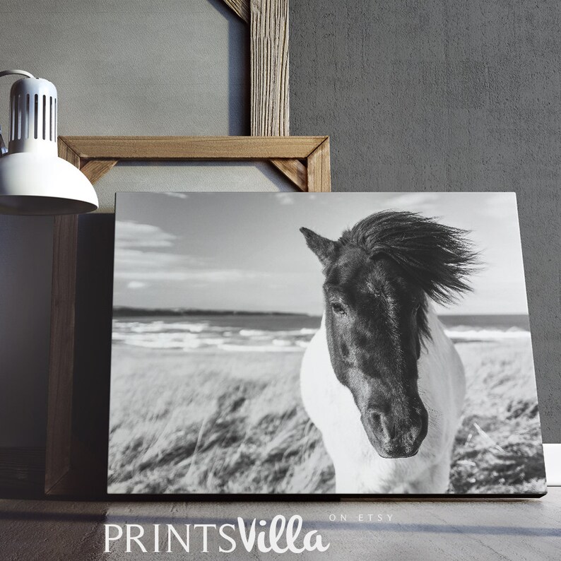Horse Print Animal Photography Black and White Wild Horse Etsy