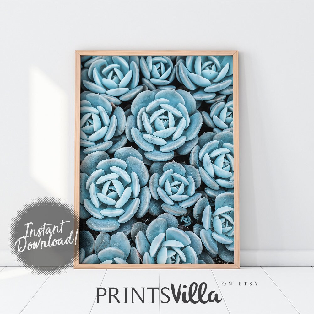 Succulent Art Print Cacti Wall Art Blue Botanical Print Etsy