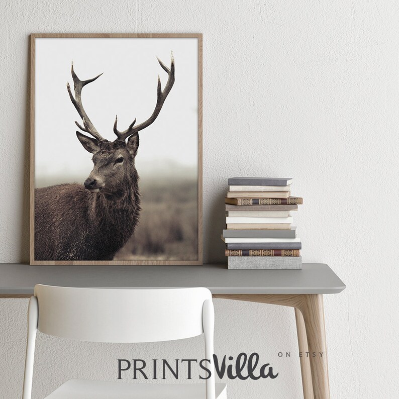 Deer Print Forest Animal Wall Art Stag Print Nature Etsy