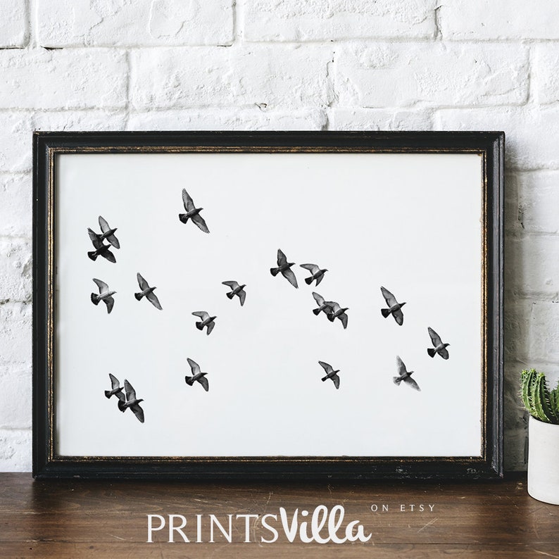 Birds Print Flock of Birds Wall Art Pigeons Print Printable | Etsy