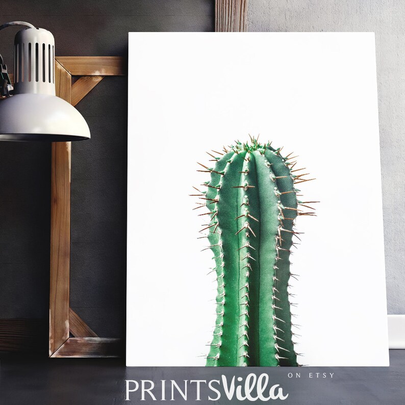 Cactus Prints Printable Cacti Wall Art Minimalist Botanical Etsy