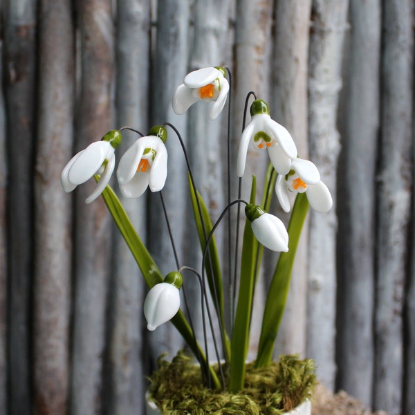 Schneeglöckchen im Set (5 Teile) oder als Einzelblüte; Blumenstecker aus Glas, Lampwork, Glasfigur auf Metallstab; PERSICO