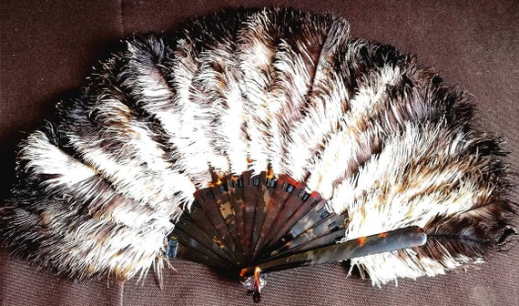 Antique ostrich fan