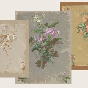K&ouml;nnte beinhalten: Drei Vintage-botanische Illustrationen mit zarten Blumen. Das erste Bild zeigt eine einzelne wei&szlig;e Rose mit einem braunen Stiel und Bl&auml;ttern. Das zweite Bild zeigt eine Gruppe von rosa und wei&szlig;en Blumen mit gr&uuml;nen Bl&auml;ttern. Das dritte Bild zeigt einen Strau&szlig; rosa und wei&szlig;er Rosen mit gr&uuml;nen Bl&auml;ttern.