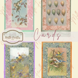 40 Cartões de Diário - Imprimíveis para Diário e Arte - Download Digital - Papel Antigo - Ephemera - Diário de Lixo - Flores Vintage