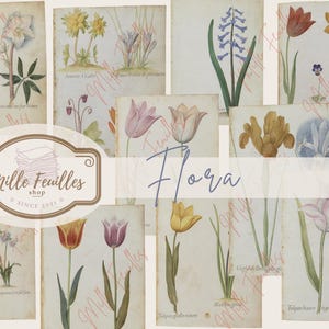 25 Ilustrações antigas - Flora - Imprimível para diário e arte - Download digital - Flores - Ephemera - Diário de lixo - Colagem