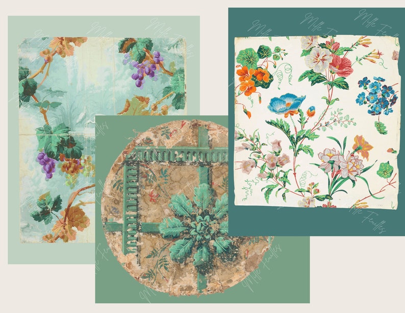 K&ouml;nnte beinhalten: Drei Vintage-Tapetenmuster mit floralen und Weinrebenmustern. Die Muster sind auf einem hellgr&uuml;nen Hintergrund. Das Blumenmuster ist in Schattierungen von Rosa, Blau, Orange und Gelb. Das Weinrebenmuster ist in Schattierungen von Gr&uuml;n, Lila und Braun. Die Muster sind alle leicht besch&auml;digt und haben einige Risse und Falten.