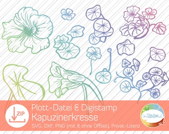Plot file Nasturtium, vector graphic flowers incl. Digistamp version for immediate download, plot file with flowers and leaves