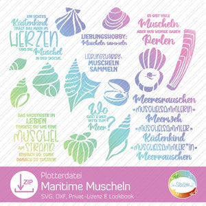 Coquillages maritimes, fichier plotter, SVG, fichier plotter pour chemises de déclaration, cartes, pochoir, peut être utilisé pour le papier d'aluminium et le papier, conception senSEASONal