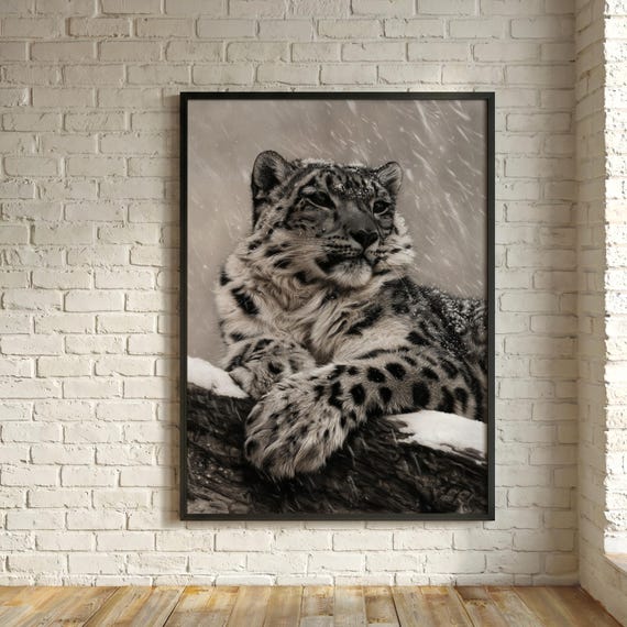 Snow Leopard Print, Snow Leopard Snowfall Charcoal Drawing Wall Art, Monochrome Big Cat Art, Black and White Wildlife Decor