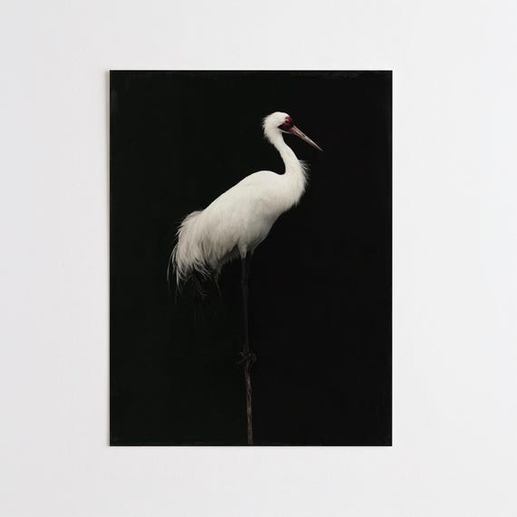 Stalk Crane Bird Minimalist Black Background Living Room Wall Art | Abstract Home Decor Elegant Japanese