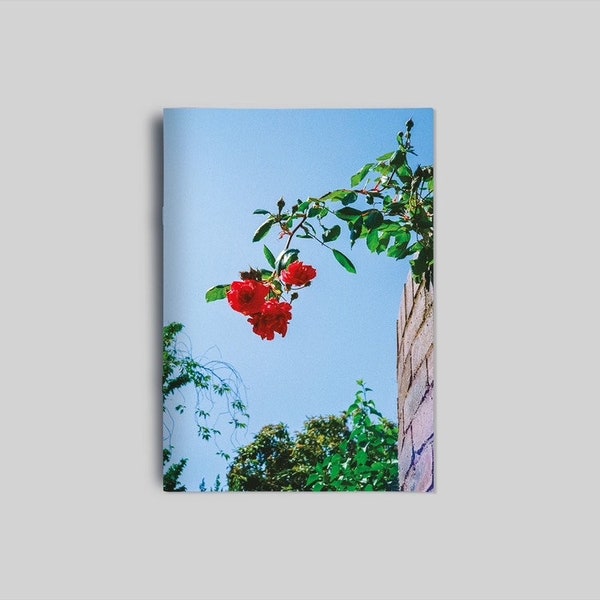 WWDA Photography Zine