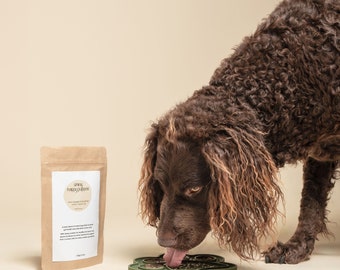 Natural Smoothie Treat For Dogs