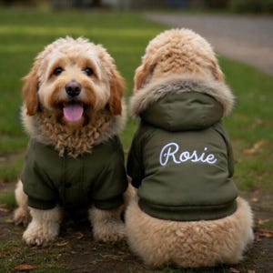 May include: Two dogs wearing matching olive green jackets with faux fur-trimmed hoods. The jacket on the dog in the back has the name "Rosie" embroidered in white script. The dogs are sitting on green grass.