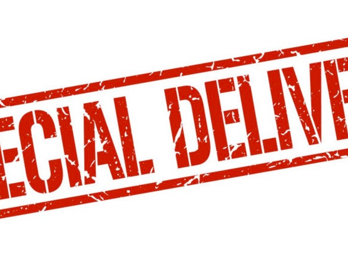 Special Delivery Next Working Day Before 1pm. Please Note Etsy