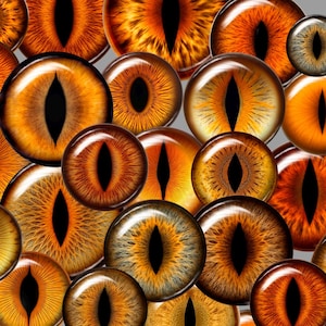 Può includere: Una collezione di cabochon rotondi in vetro a forma di occhi, in varie tonalità di arancione, giallo e marrone. Ogni cabochon presenta una pupilla nera verticale. Gli occhi variano di dimensioni e sono disposti su uno sfondo grigio.