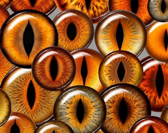realistic orange eyes for fox, wolf, dragon with vertical pupil taxidermy Digital Collage Sheets Printable animals eyes Making 10 mm - 20mm