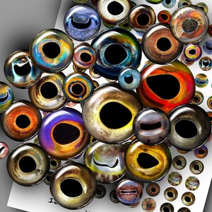 May include: A sheet of colorful, realistic fish eyes printed on white paper. The eyes are various sizes and shapes, with different colors and patterns. The sheet is perfect for crafting and creating unique projects.