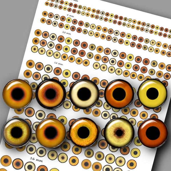 Realistic brown yellow eyes with round pupil Digital Collage Sheets Printable animals eyes for owl birds Making 6mm 8mm 10mm 12mm 14mm 16 mm