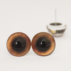 Könnte beinhalten: Zwei runde, braune Puppenaugen mit schwarzen Pupillen. Die Augen haben eine glänzende Oberfläche und sind vor einem weißen Hintergrund platziert. Eine kleine, transparente Kunststoffkomponente ist im Hintergrund sichtbar.