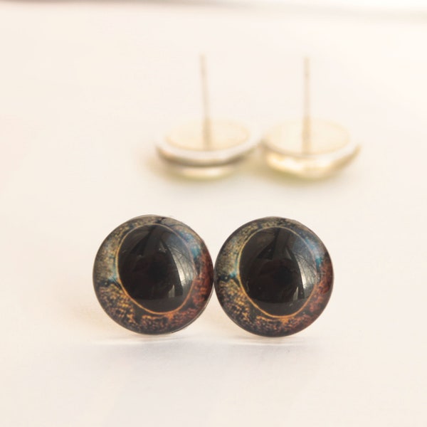 Black Glass eyes for frog Taxidermy glass eyes for toy Cabochons eyes Glass eyes for animal Glass Eyes On Wire Pin Posts for Needle Felting