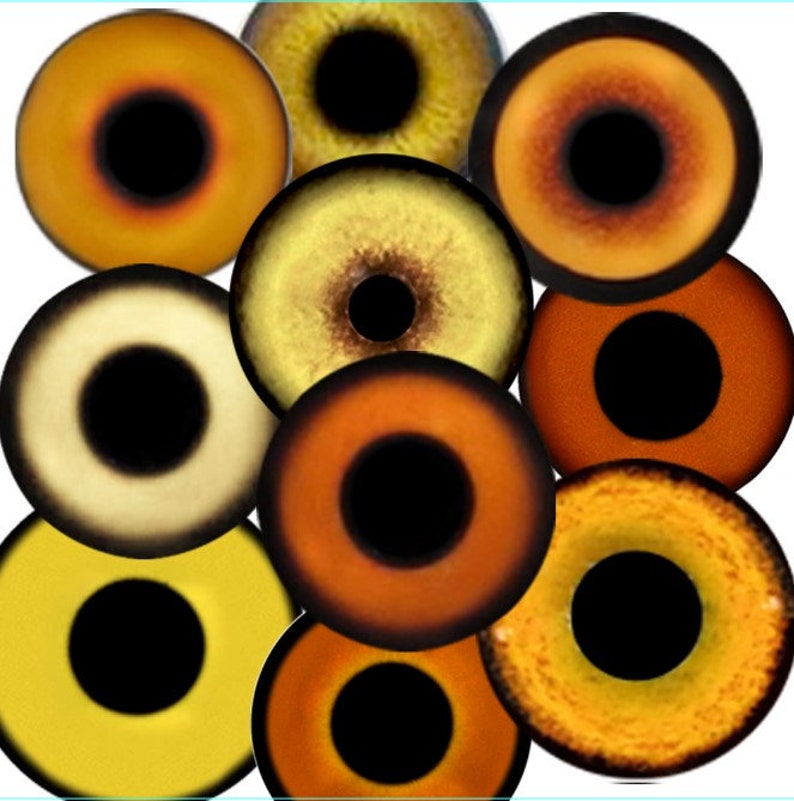 May include: A collection of ten realistic looking plastic eyes, each with a different shade of yellow, orange, and brown. The eyes are all round and have black pupils.