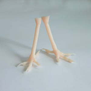 Realistic Silicone Pair of Female Feet 