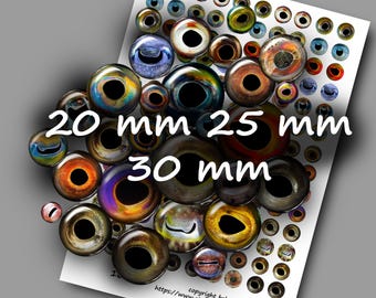Realistic octopus reptile fish eyes for Fishing lure Taxidermy Digital Collage Sheets Printable Download 20 mm 25 mm 30 mm