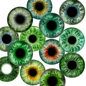 Peut inclure: Une collection de 12 iris d'yeux verts, bleus et bruns avec des pupilles noires. Les iris sont détaillés avec des motifs et des textures complexes.