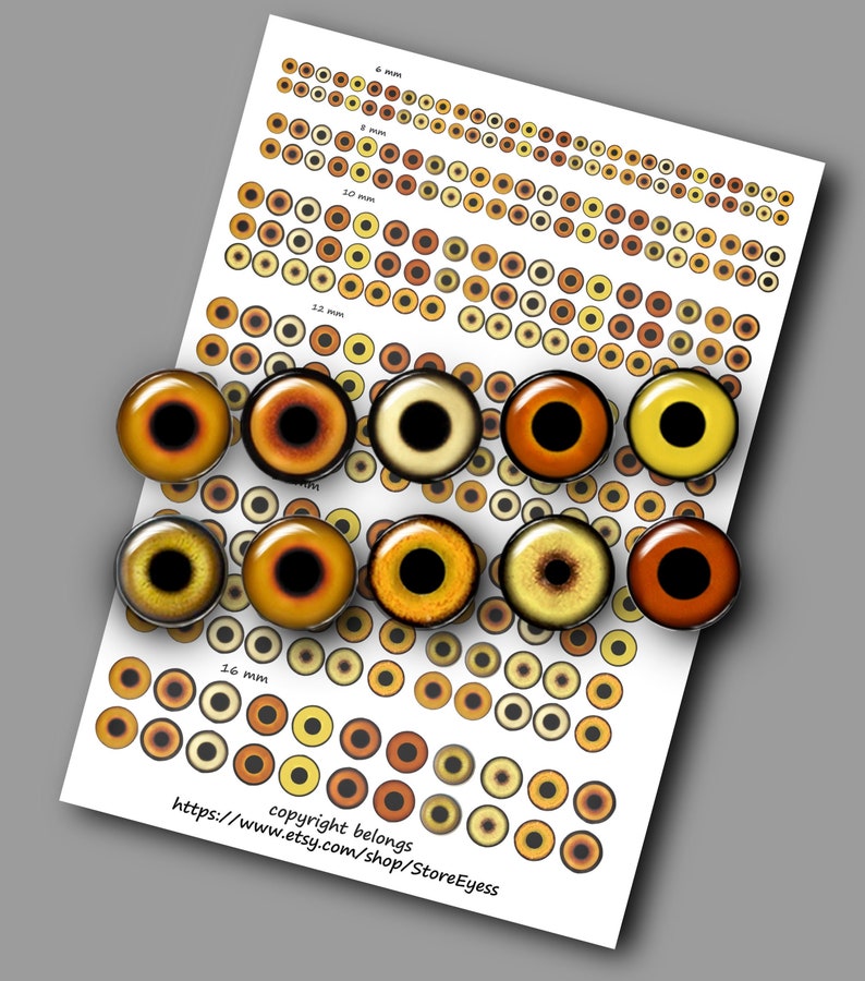 May include: Assortment of realistic looking plastic eyes for craft projects. The eyes are available in various sizes, from 6 mm to 16 mm, and feature different shades of brown and yellow. The image also includes a sheet with a grid of smaller eyes in various sizes.