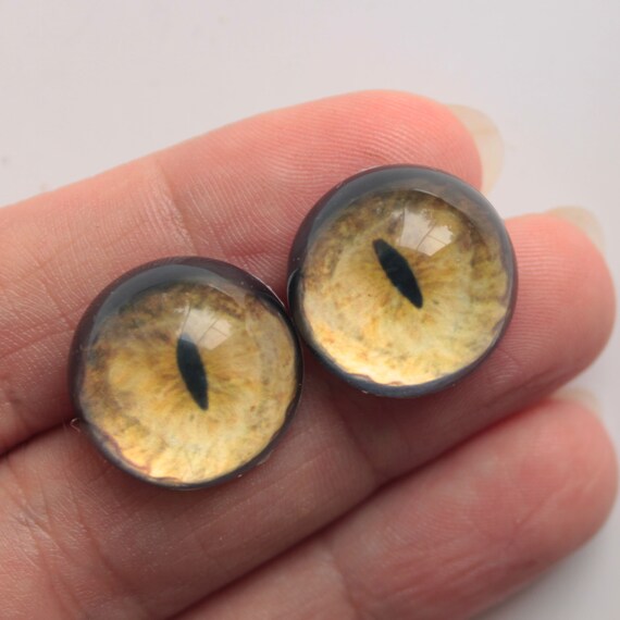 18 Mm Glass Eyes for Cat Taxidermy Glass Hemisphere Eyes Glass Etsy
