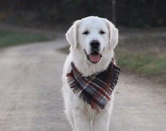 Bandanas Hiver