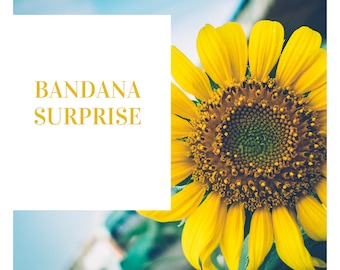 Bandana surprise