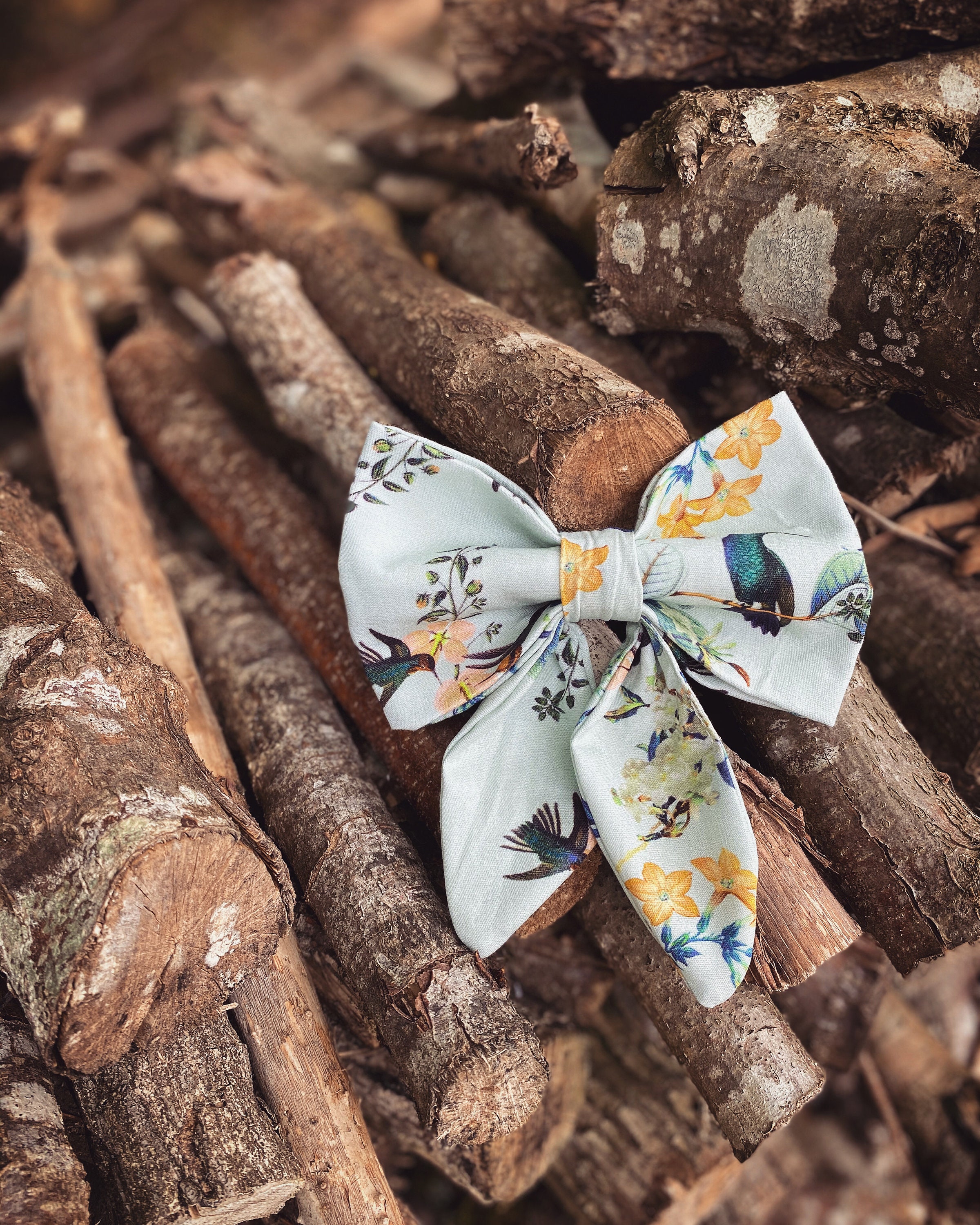 Noeud Papillon Élégant