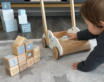 Babygeschenk Geburt, Geschenk 1 Geburtstag, Lauflernwagen Wolke blau