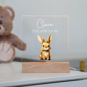Night light baby, gift birth, rabbit II, night light personalized, baby gift birth, gift for birth