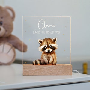 Night light baby, raccoon, personalized night light, baby gift birth, personalized gift for birth, personalized night lamp
