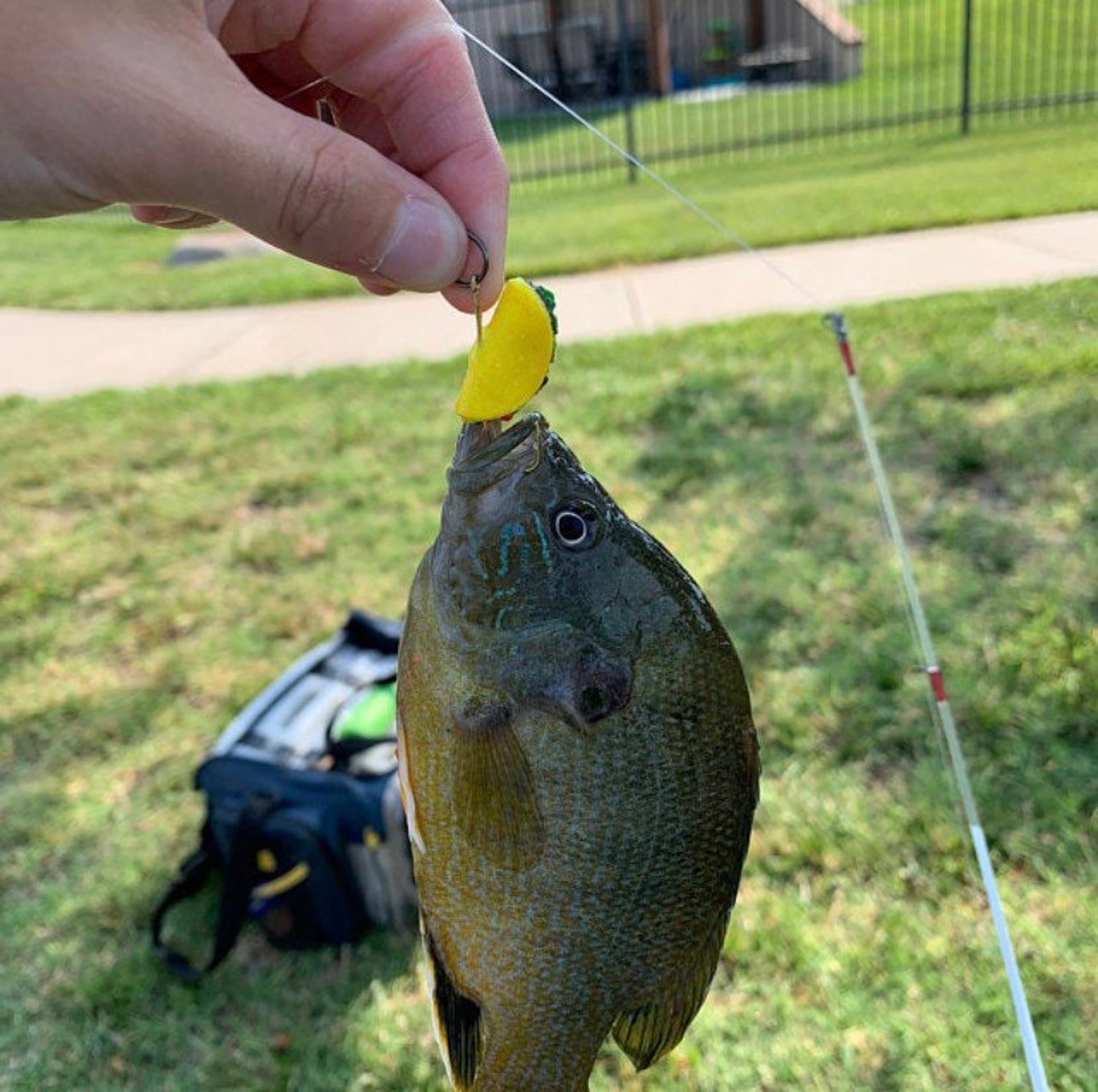 Taco Fish Lure Hook Size 2 Food Lures Fishing Lure Etsy